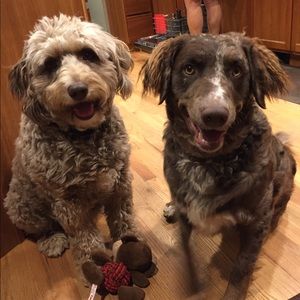 Meet your Posher, Sally